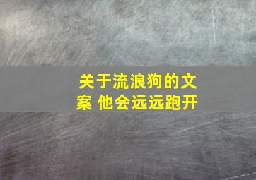 关于流浪狗的文案 他会远远跑开